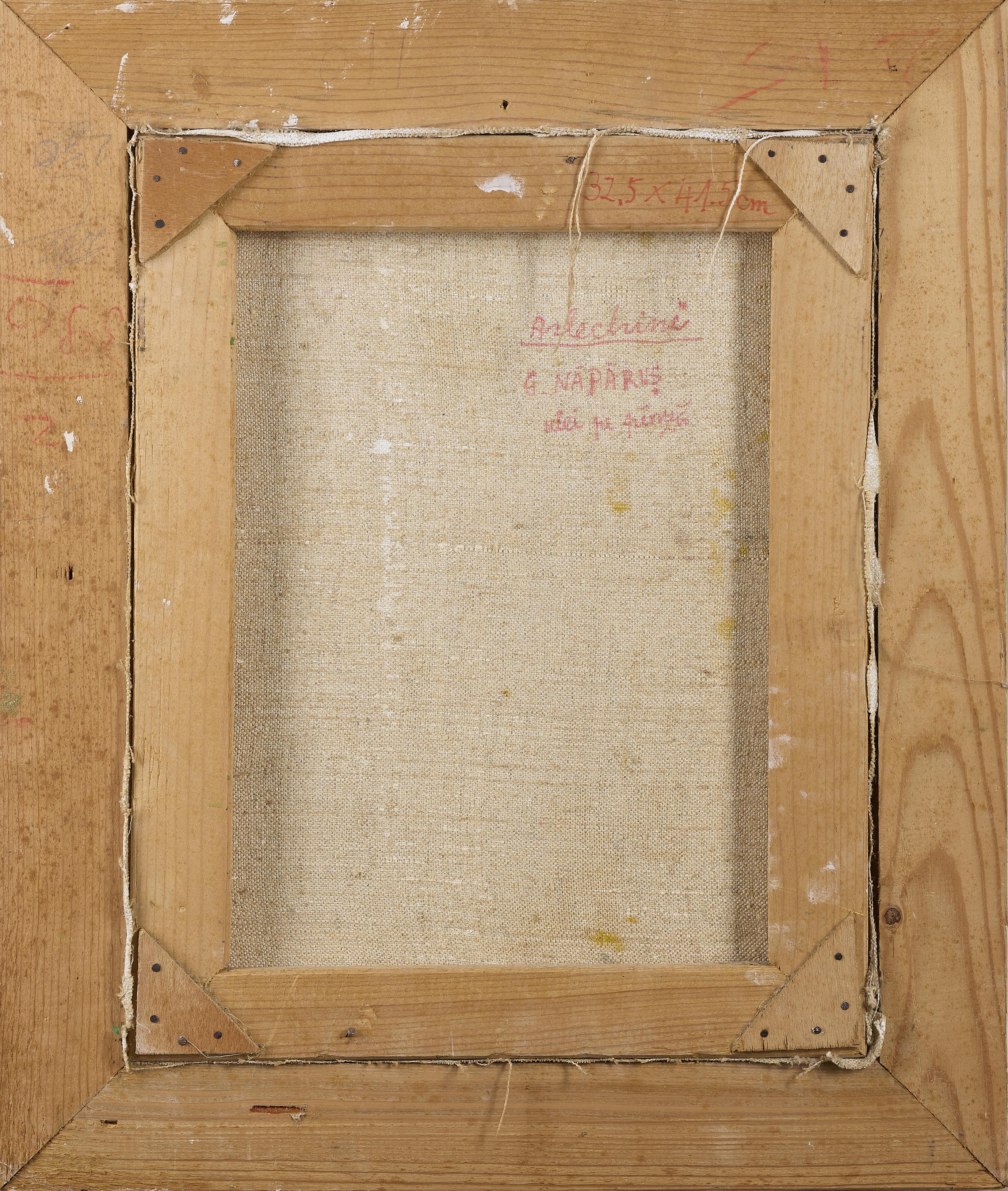 Georgeta Năpăruș - Arlechini