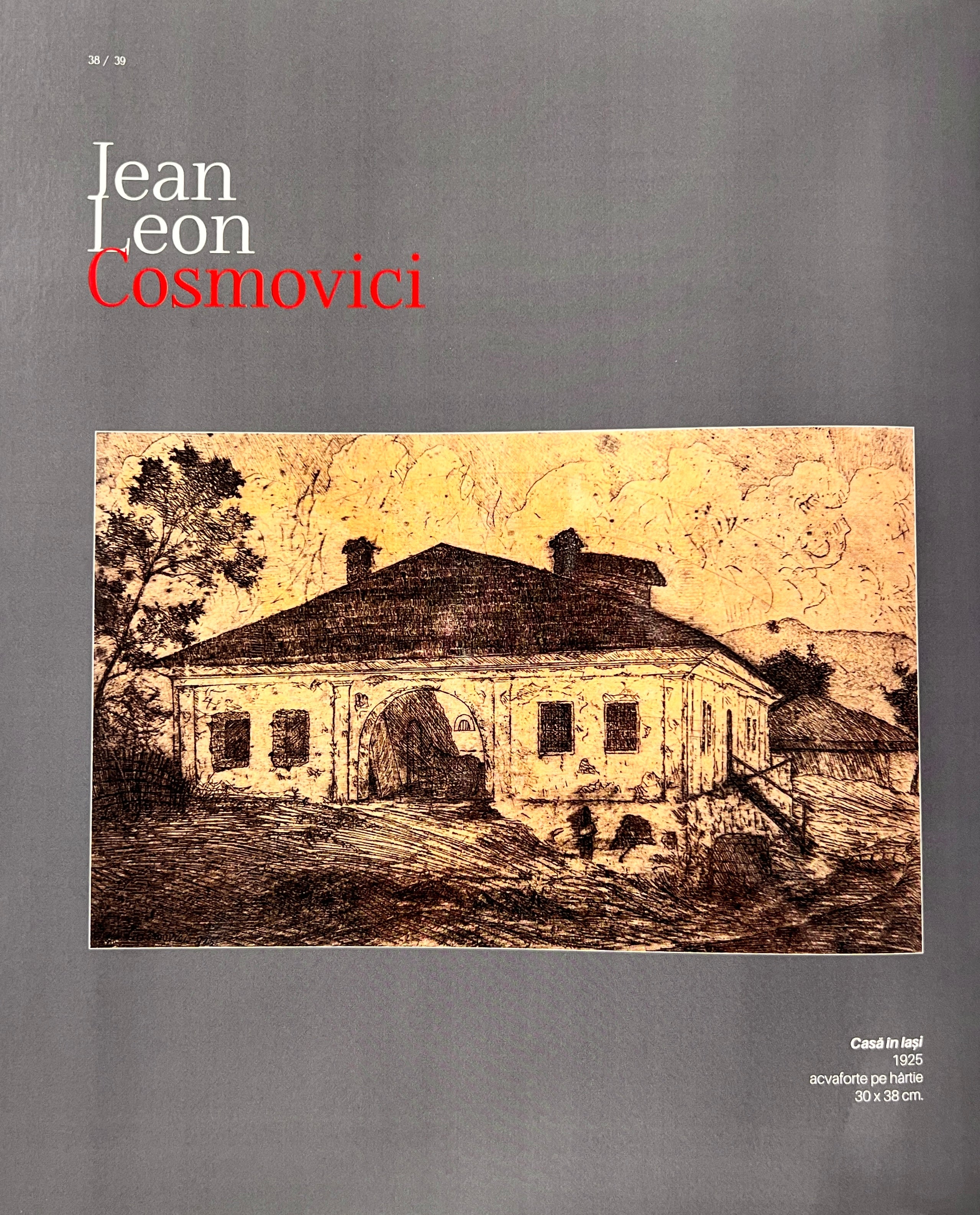 Jean Leon Cosmovici - Conacul Principesei Ileana din Poieni