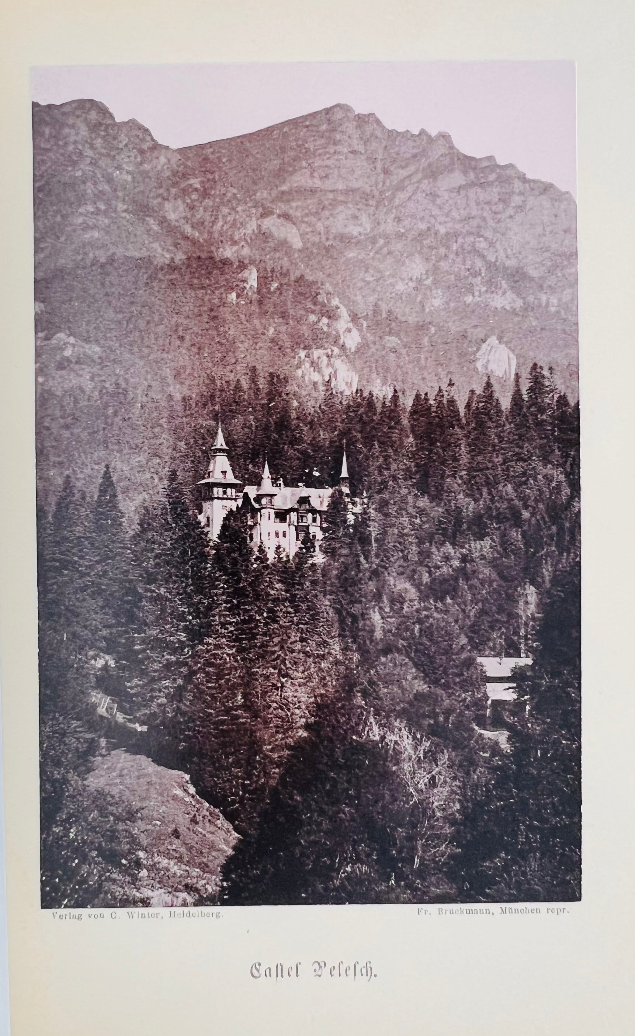 Natalie Freiin Stackerlberg - Aus Carmen Sylva's Leben (Viaţa lui Carmen Sylva), biografie - Artiss