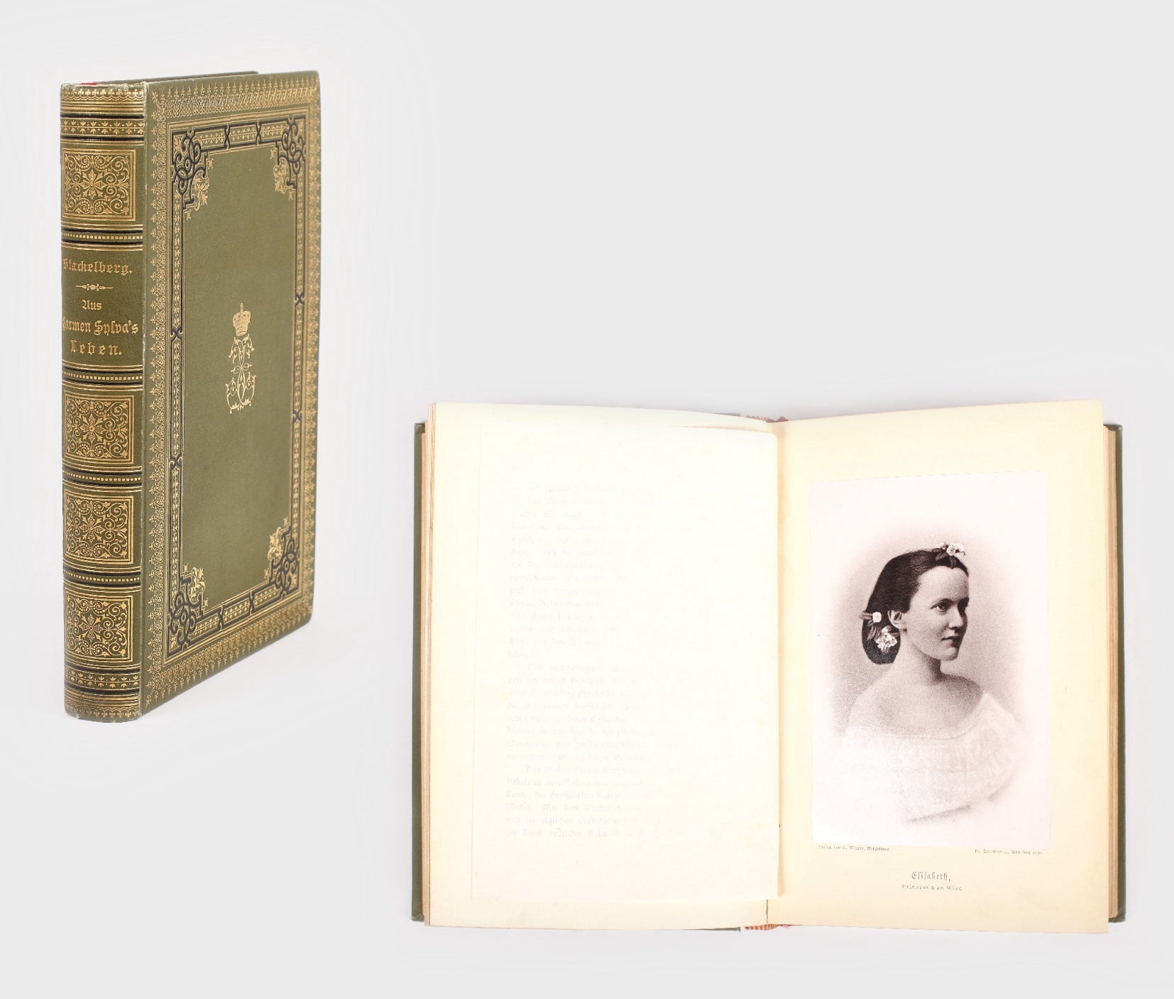 Aus Carmen Sylva's Leben (Viaţa lui Carmen Sylva), biografie de Natalie Freiin Stackerlberg, 1889 - Artiss