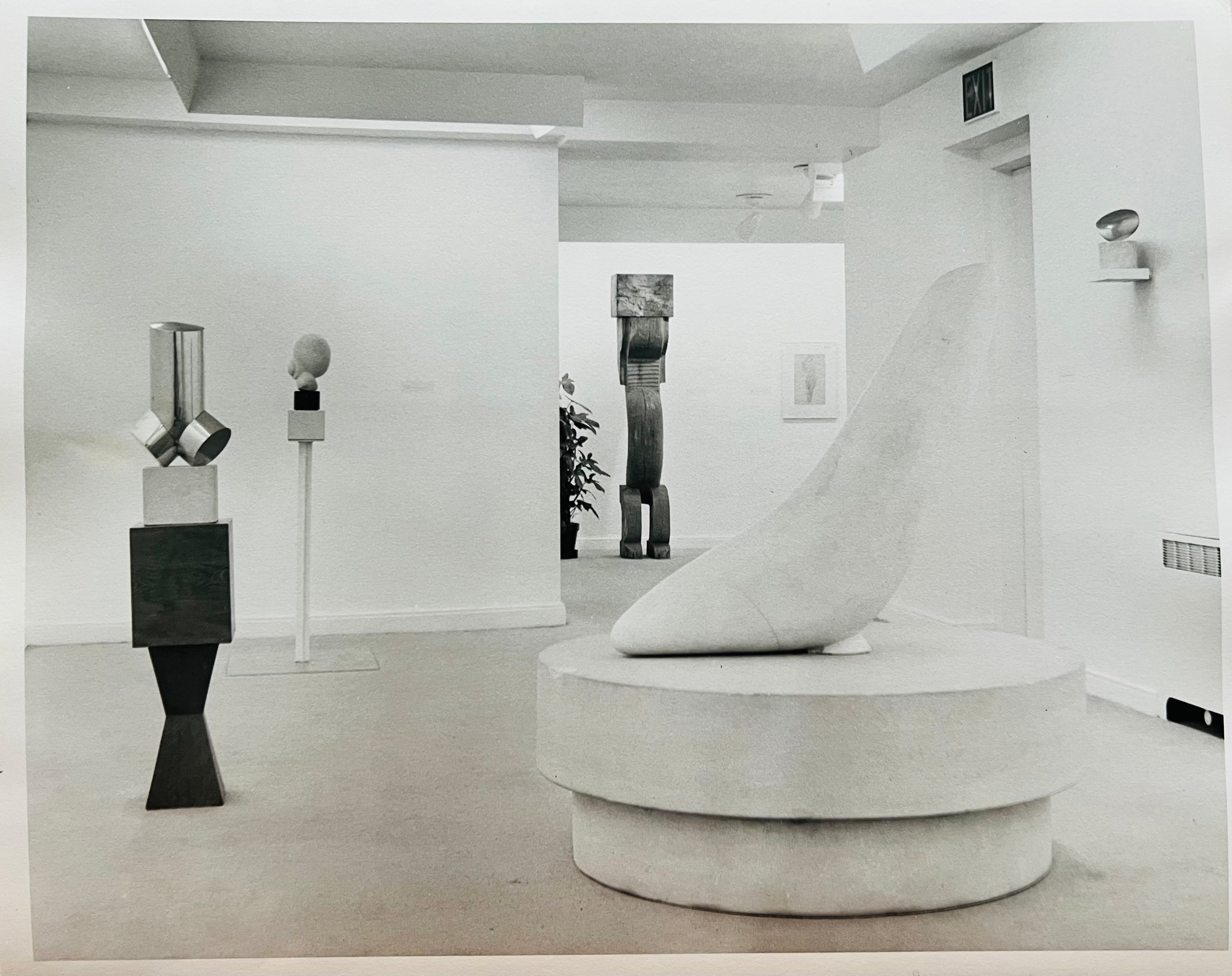 Constantin Brâncuși - Torso of a young man 1925. Head 1925. Caryatid. Study for “The Princess” 1913-15. White seal (“Miracle”) 1936. FIsh