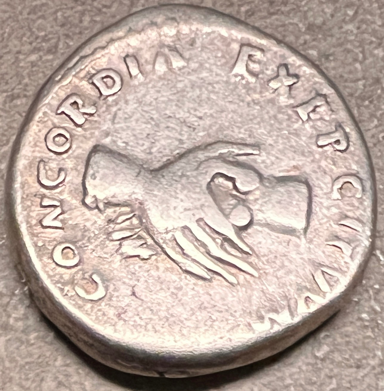 Monedă Denarius, Nerva, denar tip Concordia, 97 e.n., argint (clasata Fond) - Artiss