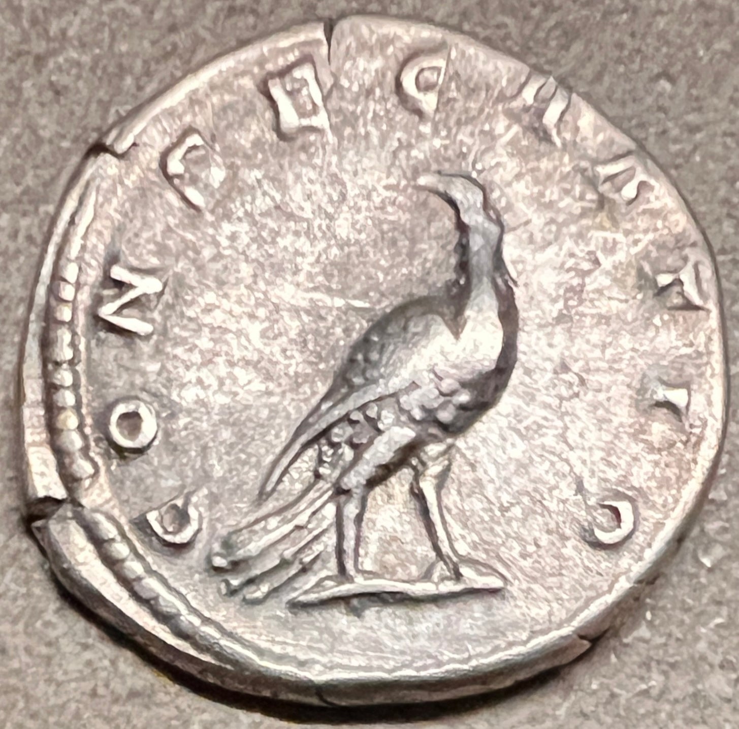 Monedă Denarius, Faustina, tip Consecratio, 141-150 e.n., argint (clasata Fond) - Artiss