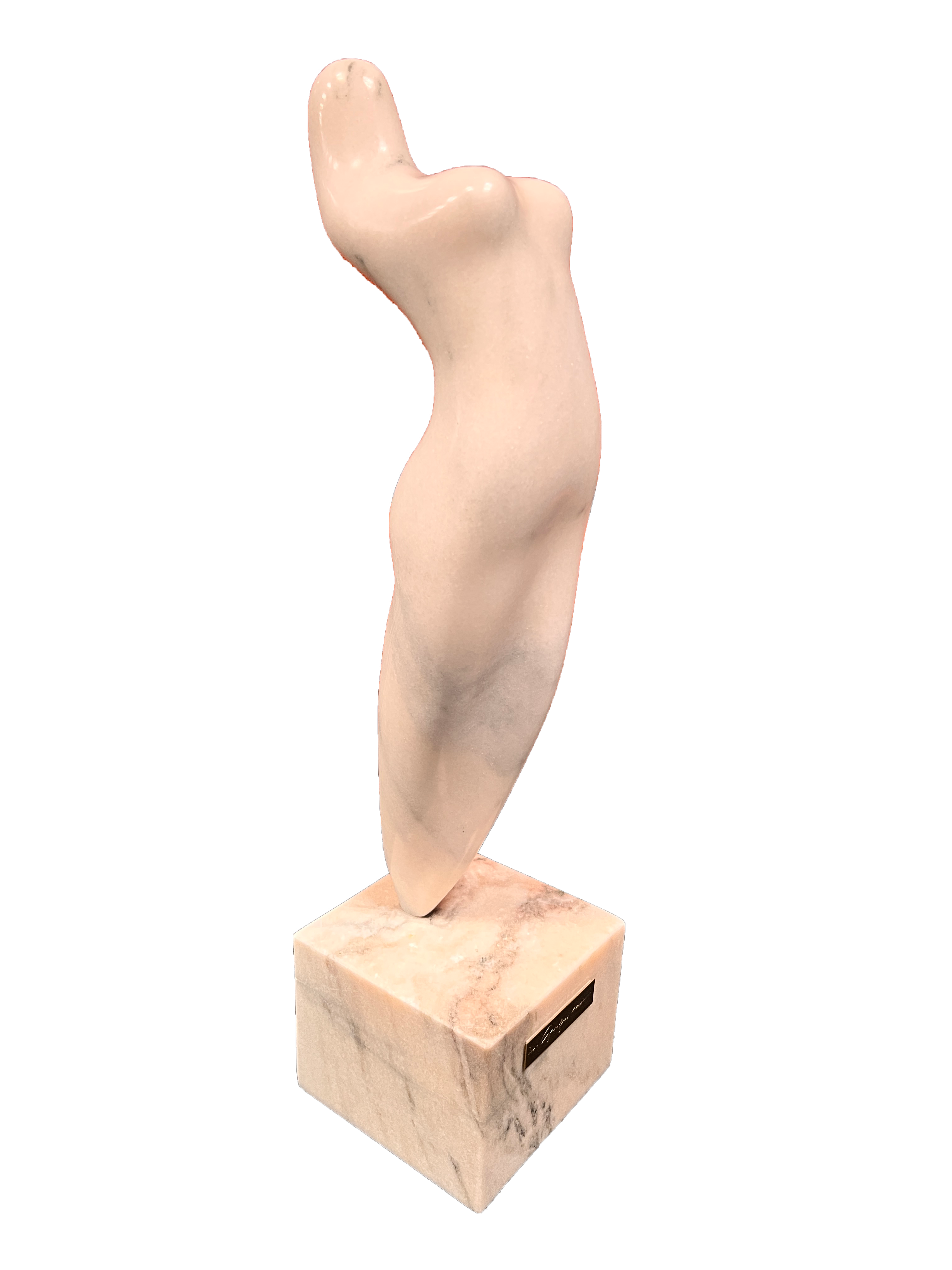 Marcel Guguianu - Muză