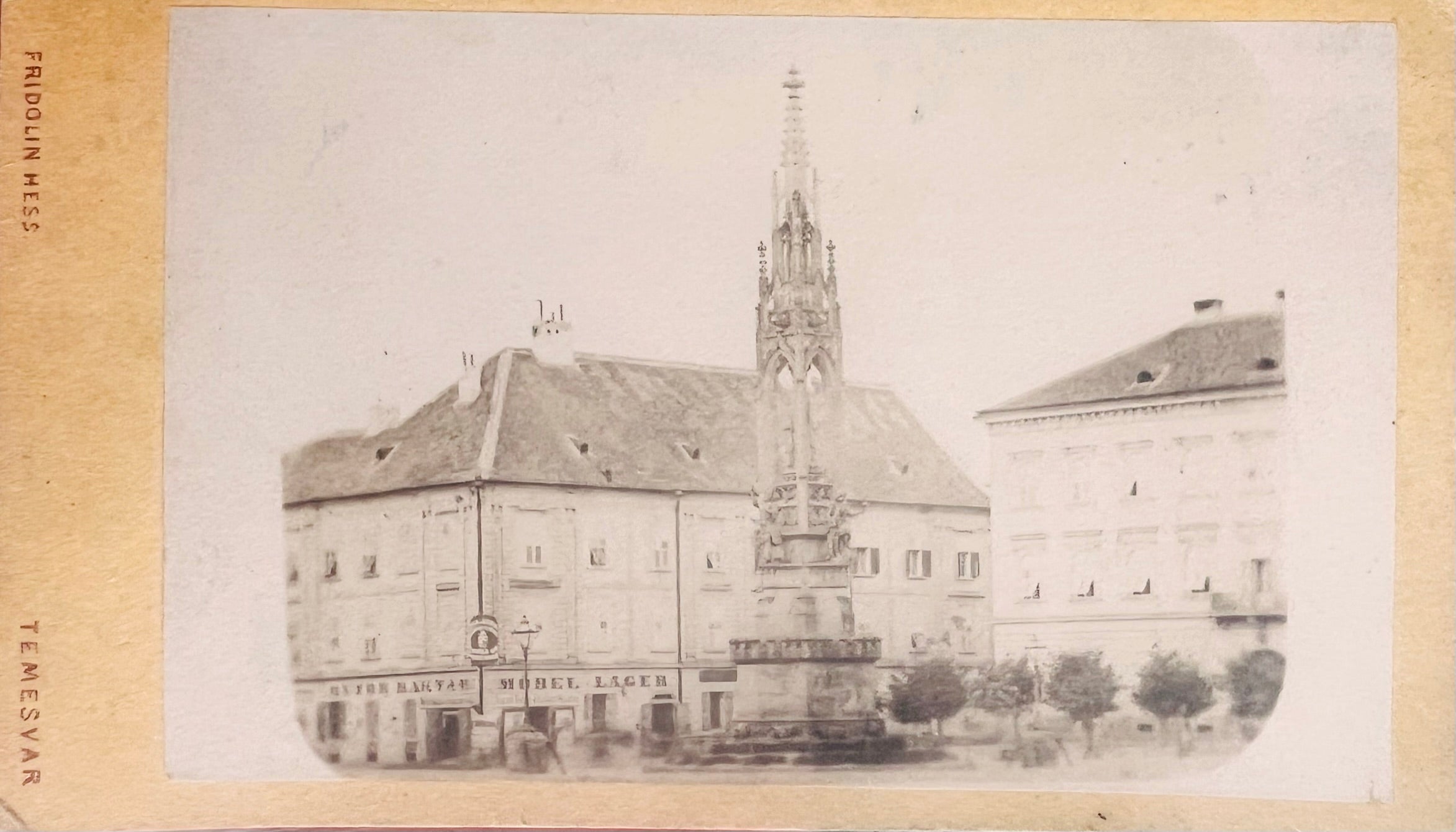 Timisoara, Baile Buzias si Baile Herculane, lot 3 foto CDV - Artiss